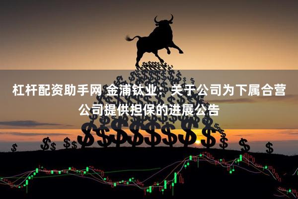杠杆配资助手网 金浦钛业：关于公司为下属合营公司提供担保的进展公告