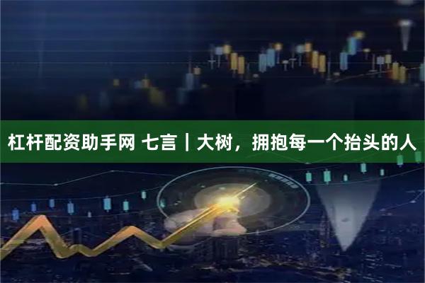 杠杆配资助手网 七言｜大树，拥抱每一个抬头的人